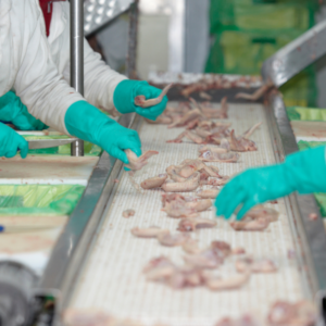 07213019 Baromfiipari-feldolgozó